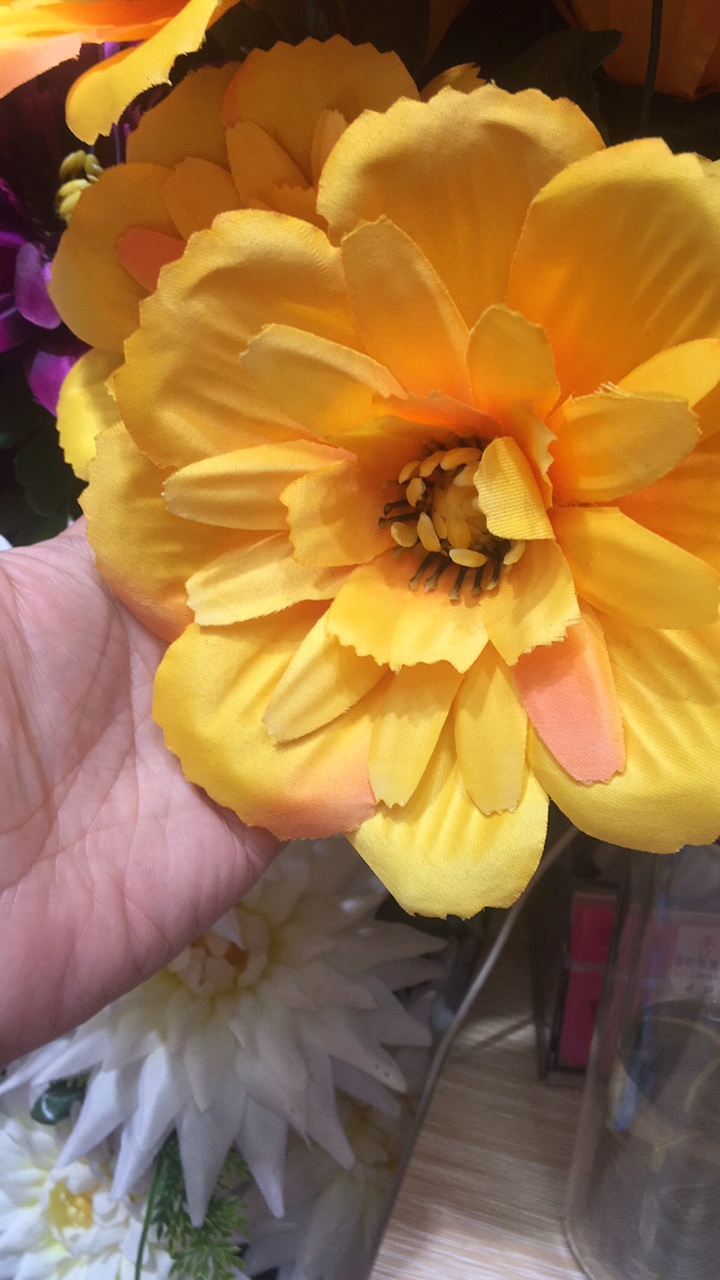 菊花123
