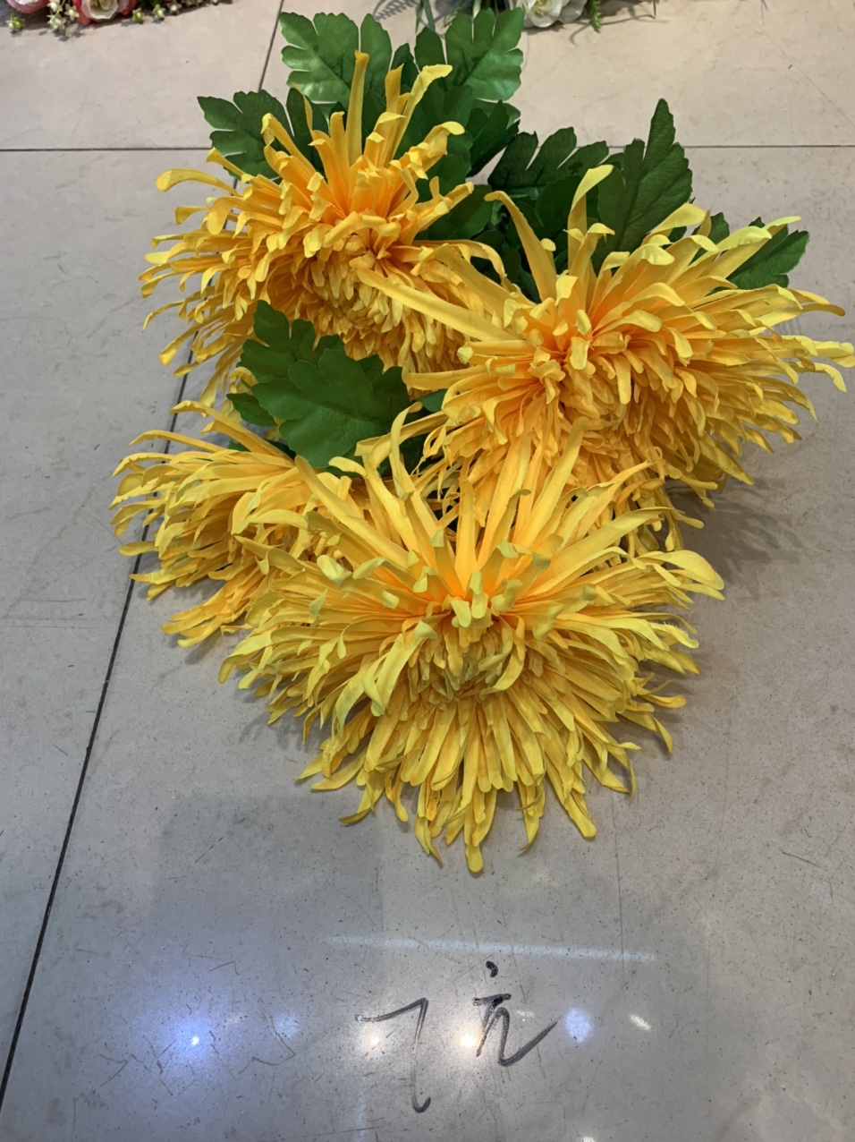 5 Heads Of Chrysanthemum