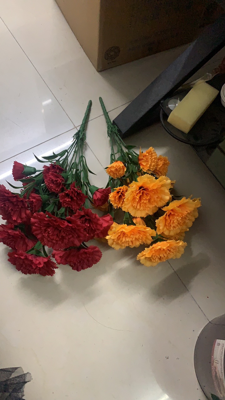 7 Carnations