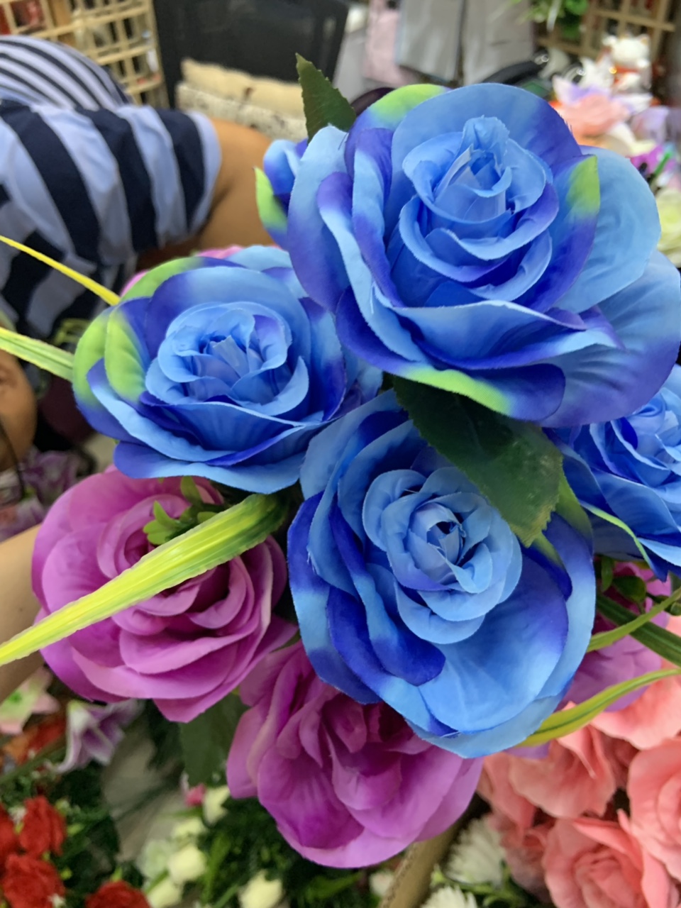 Blue chrysanthemum