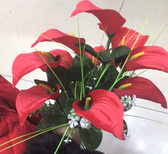 Twelve matte calla lilies