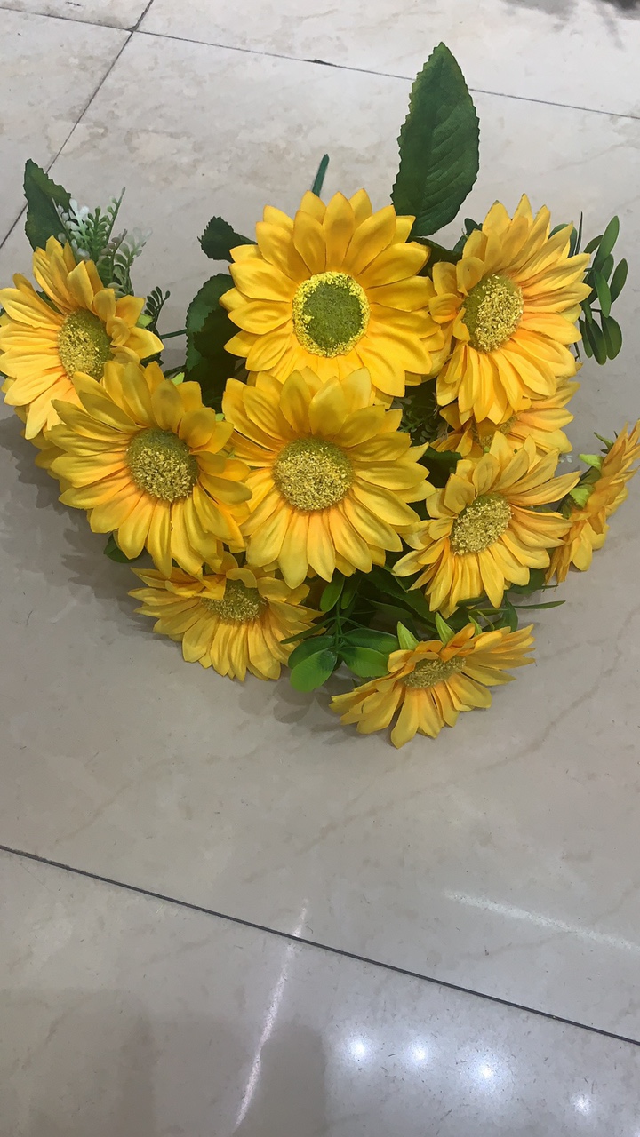 12头向日葵
