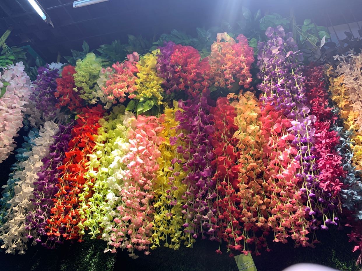 Flores de frijoles largos