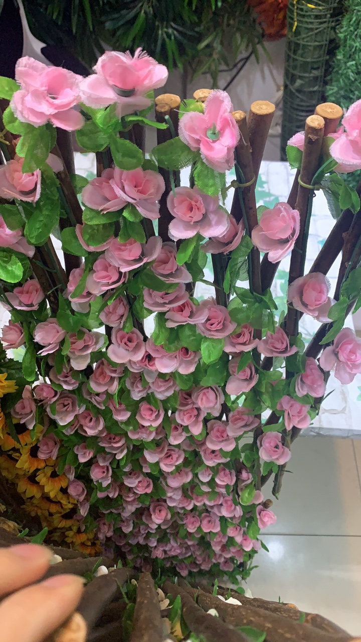 Little rose thumbnail