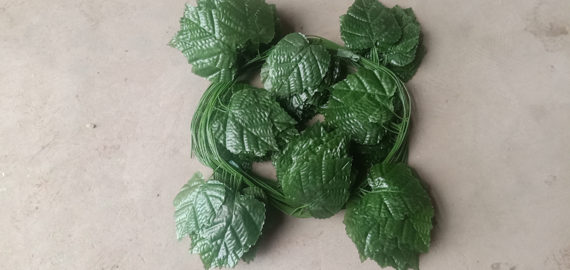 Gum leaves large strips thumbnail