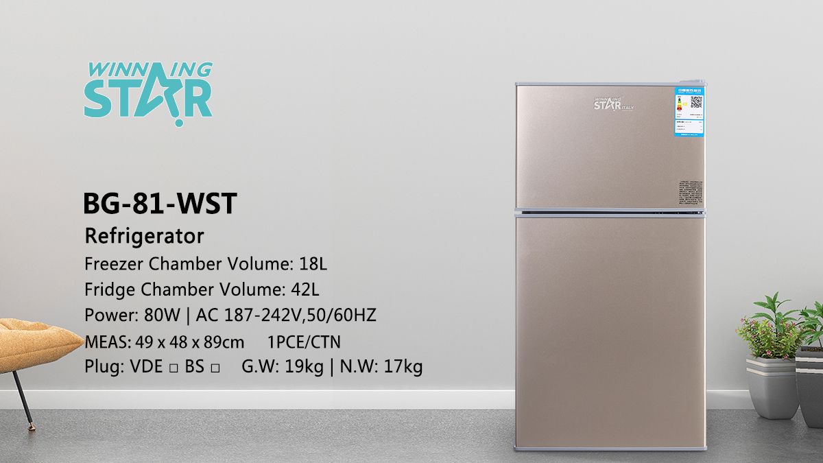 BG-81-WST-AC-VDE-YXZL Refrigerator  two doors thumbnail