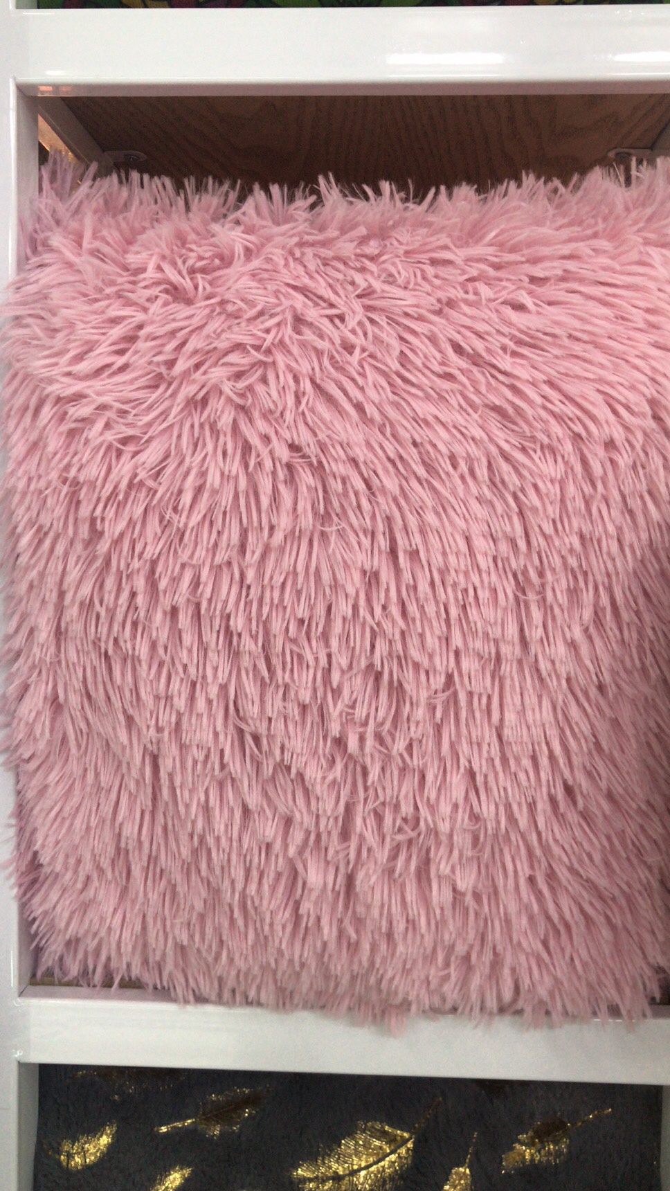 Sea lion velvet pillowcase Application Scenario