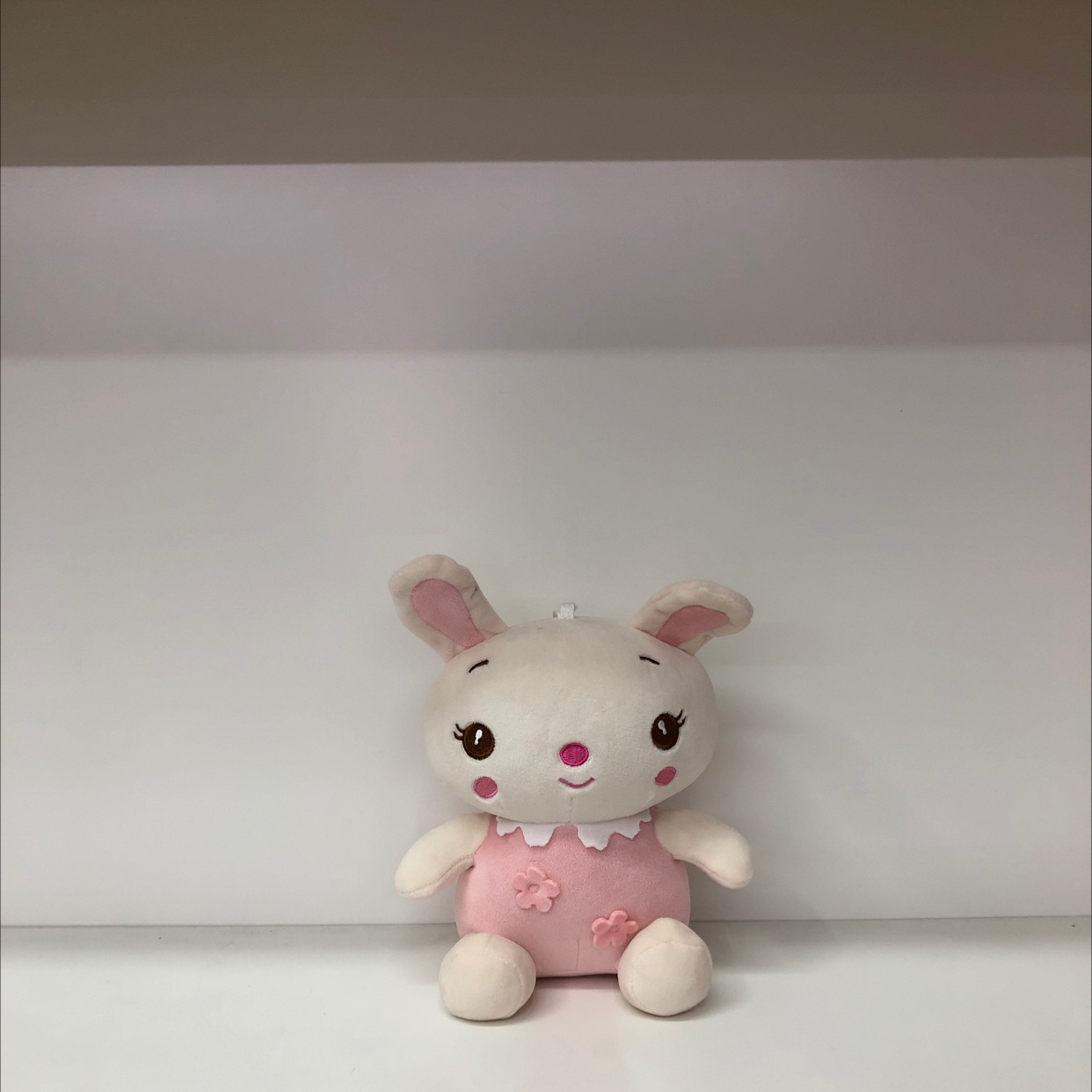 Plush little rabbit