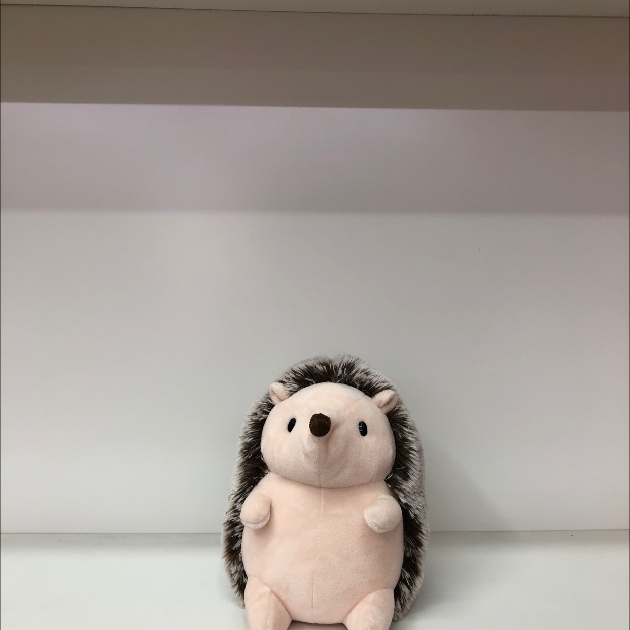 Plush hedgehog figurine