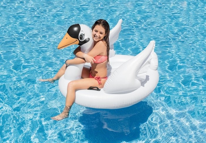 Wholesale of INTEX57557 Little Swan Mount Inflatable float pic 1