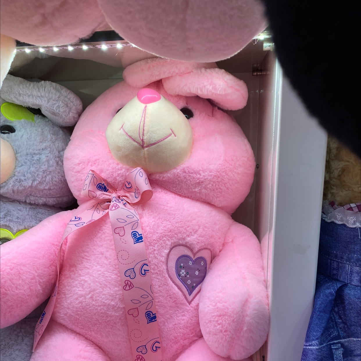 Baby Rabbit details Picture