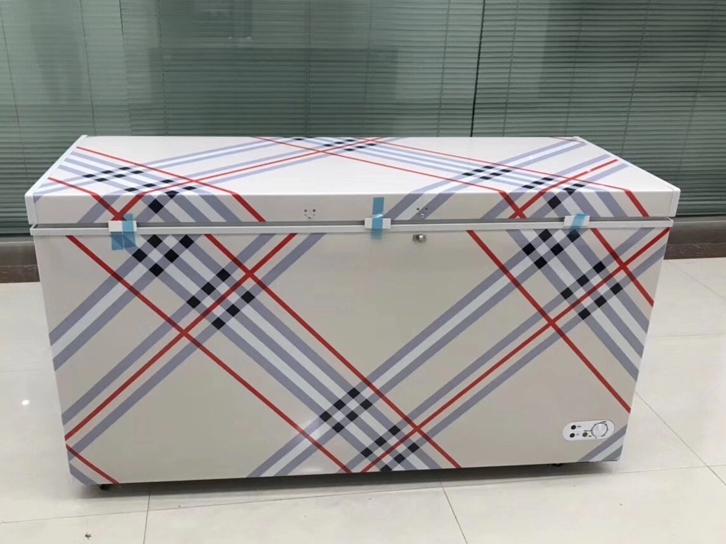 Solar-powered freezer: DC12/24V, AC220V