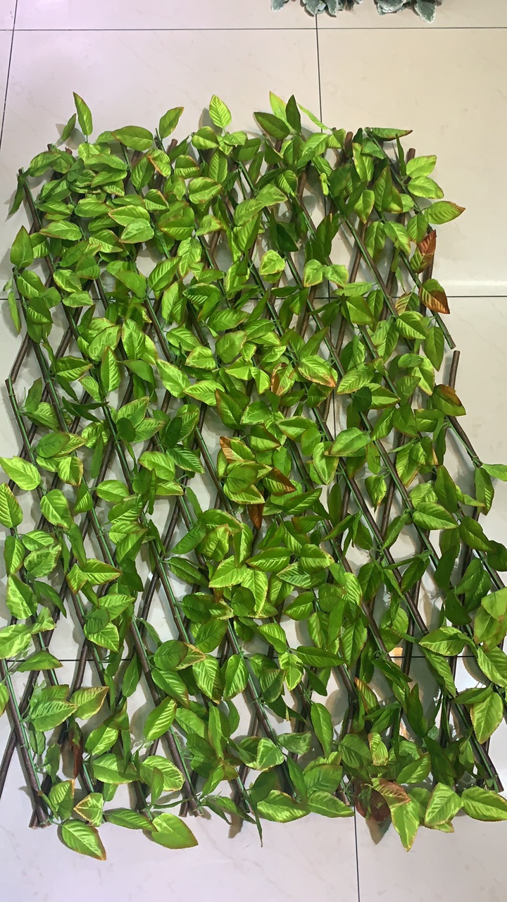 Deltoid lobe thumbnail