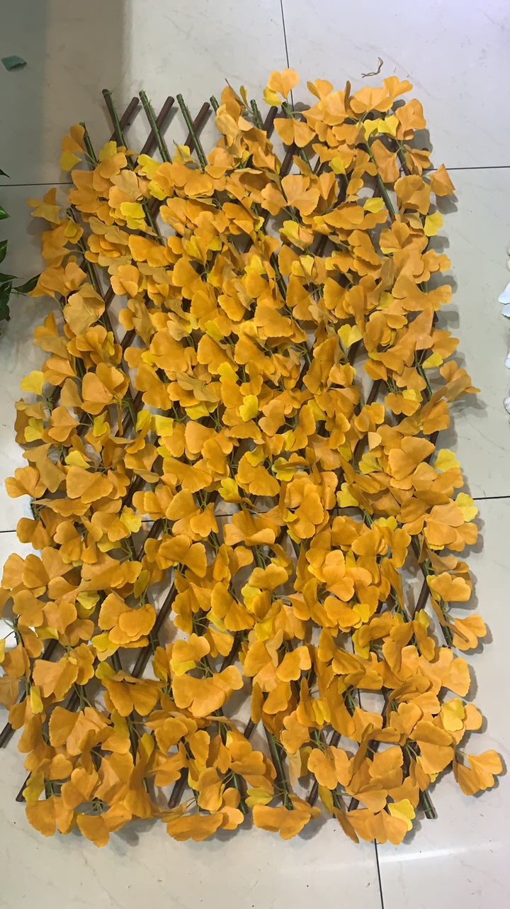 Ginkgo biloba leaf thumbnail