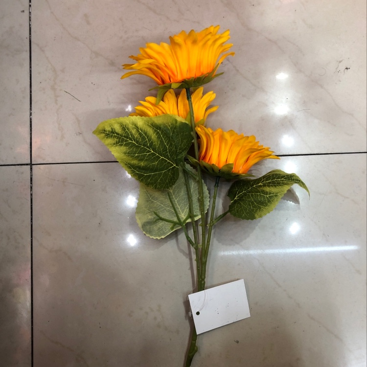 Small Three-Headed Sunflower