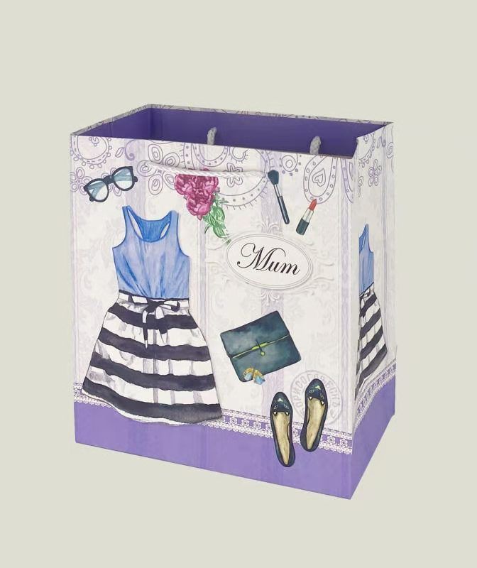 Hot-selling fashionable women's gift bags, handbags, best-selling women's horizontal bags, gift bags, ordinary printed white card paper Specification image