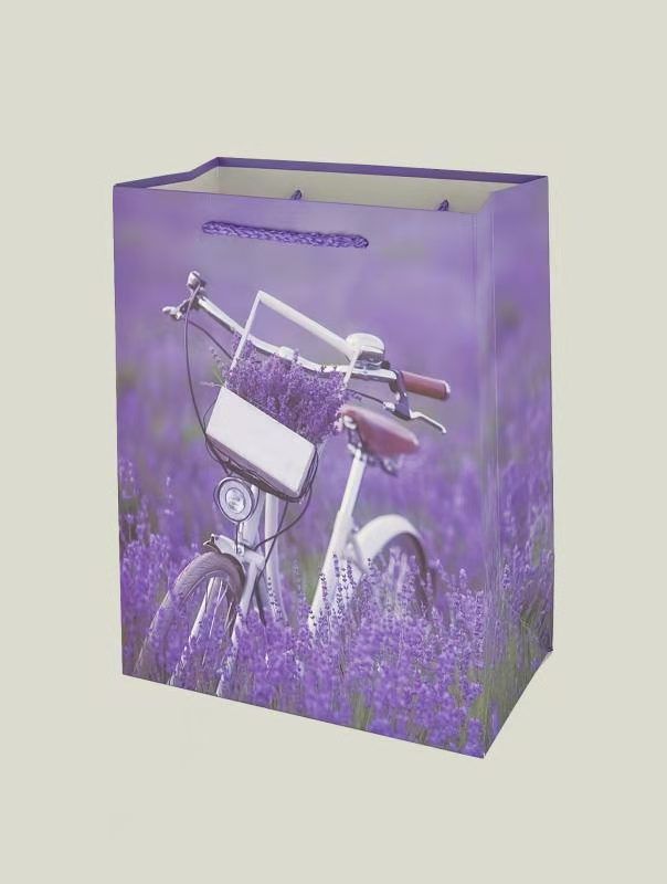 Wholesale of flower and bicycle-themed gift bags, hand-held bags, beautiful ordinary printed gift bags, and white cardstock Item Picture
