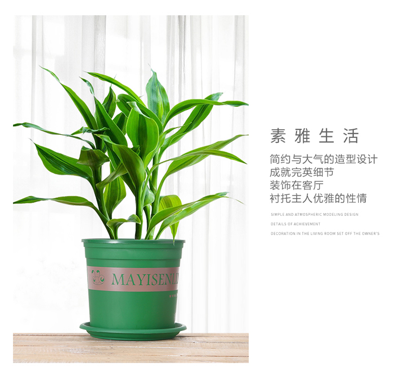 博馨花盆塑业厂家直销加仑盆塑料花盆详情图8