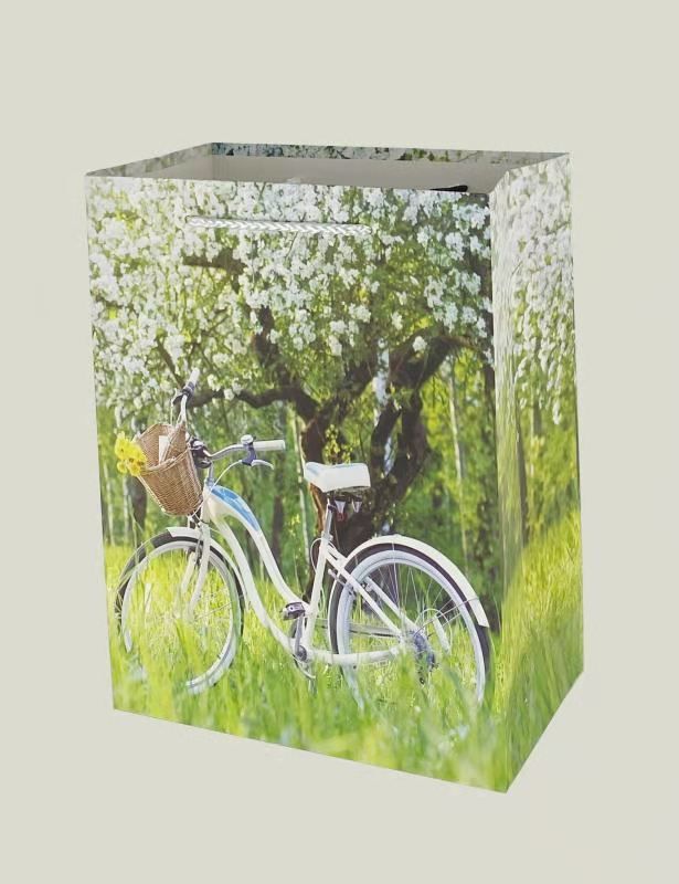 Wholesale of flower and bicycle-themed gift bags, hand-held bags, beautiful ordinary printed gift bags, and white cardstock Specification image