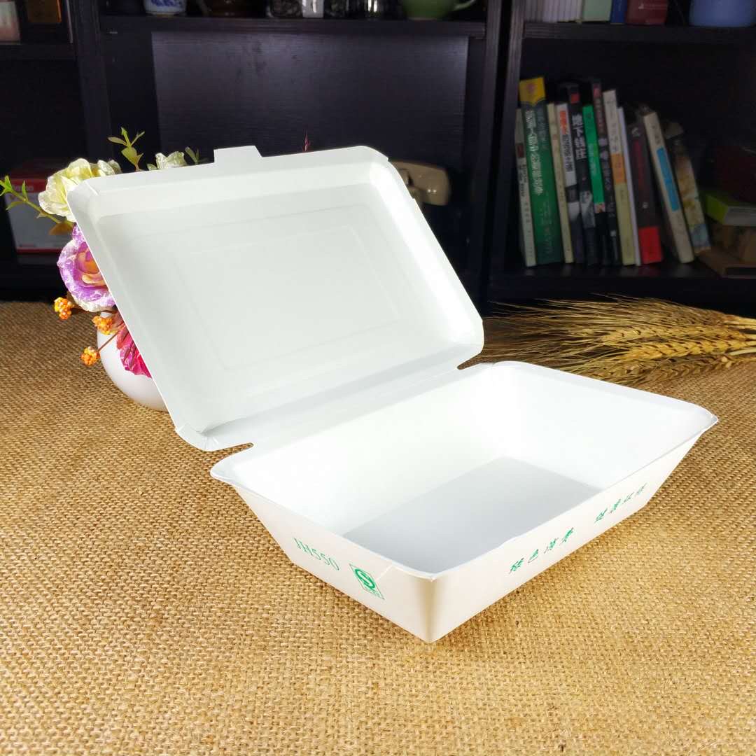 一次性餐盒实物图