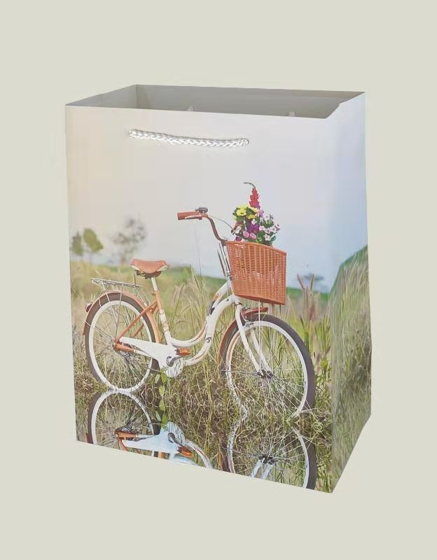Wholesale of flower and bicycle-themed gift bags, hand-held bags, beautiful ordinary printed gift bags, and white cardstock Application Scenario