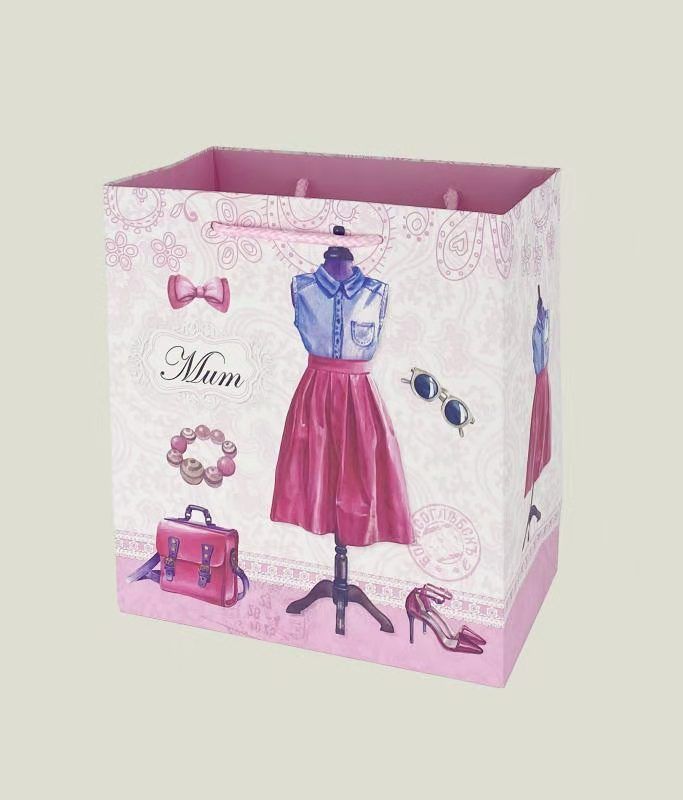 Hot-selling fashionable women's gift bags, handbags, best-selling women's horizontal bags, gift bags, ordinary printed white card paper details Picture