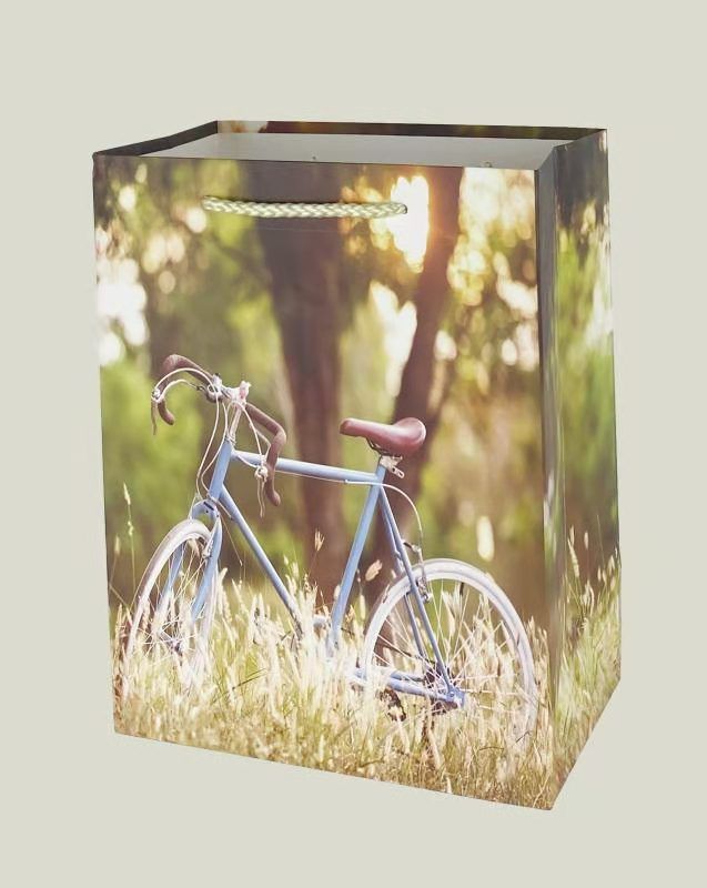 Wholesale of flower and bicycle-themed gift bags, hand-held bags, beautiful ordinary printed gift bags, and white cardstock details Picture