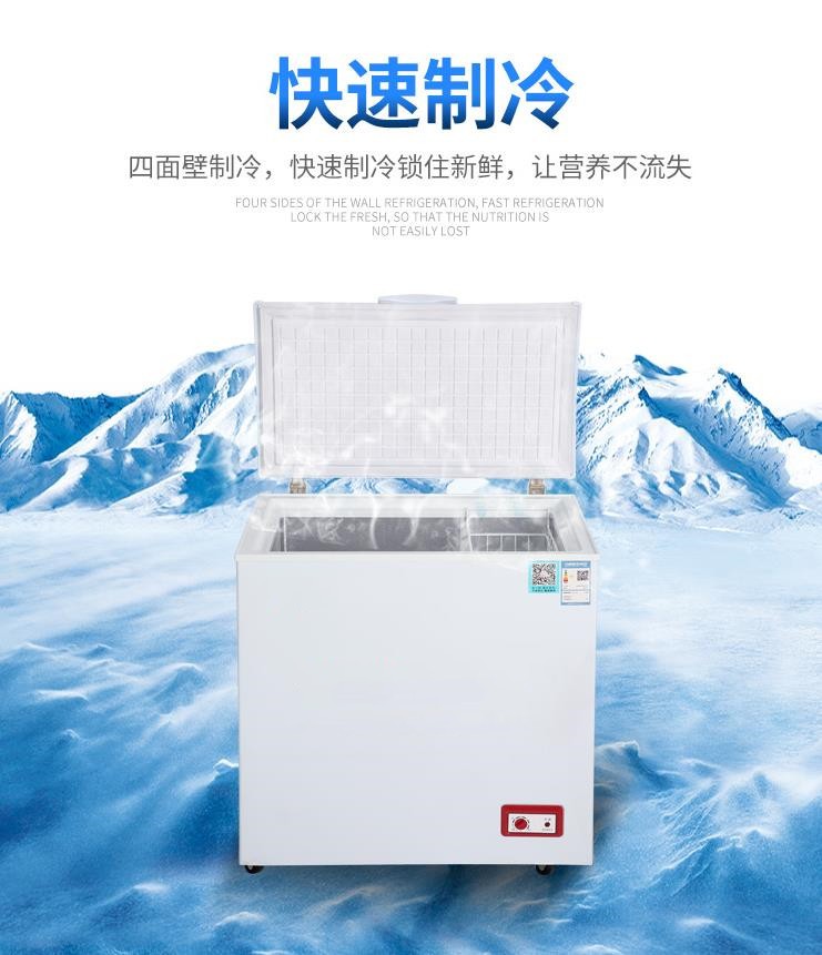 BC/BD-108/GF-1000商用冷藏冷冻冰柜卧式雪柜单温家用顶开式小型冰箱单门625*535*900mm详情图8
