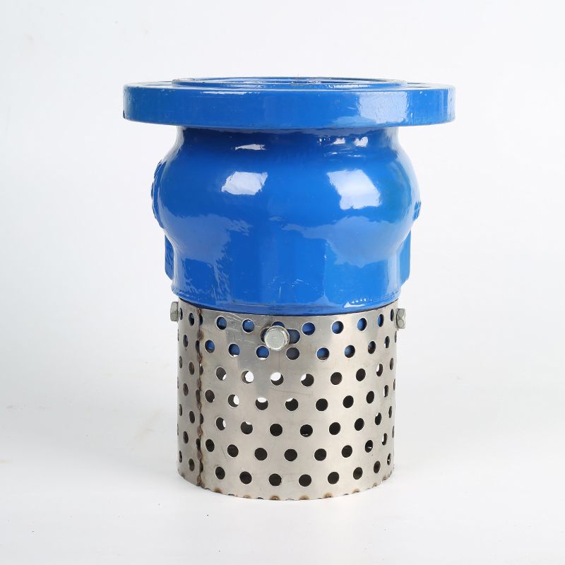 Flange bottom valve with stainless steel mesh thumbnail