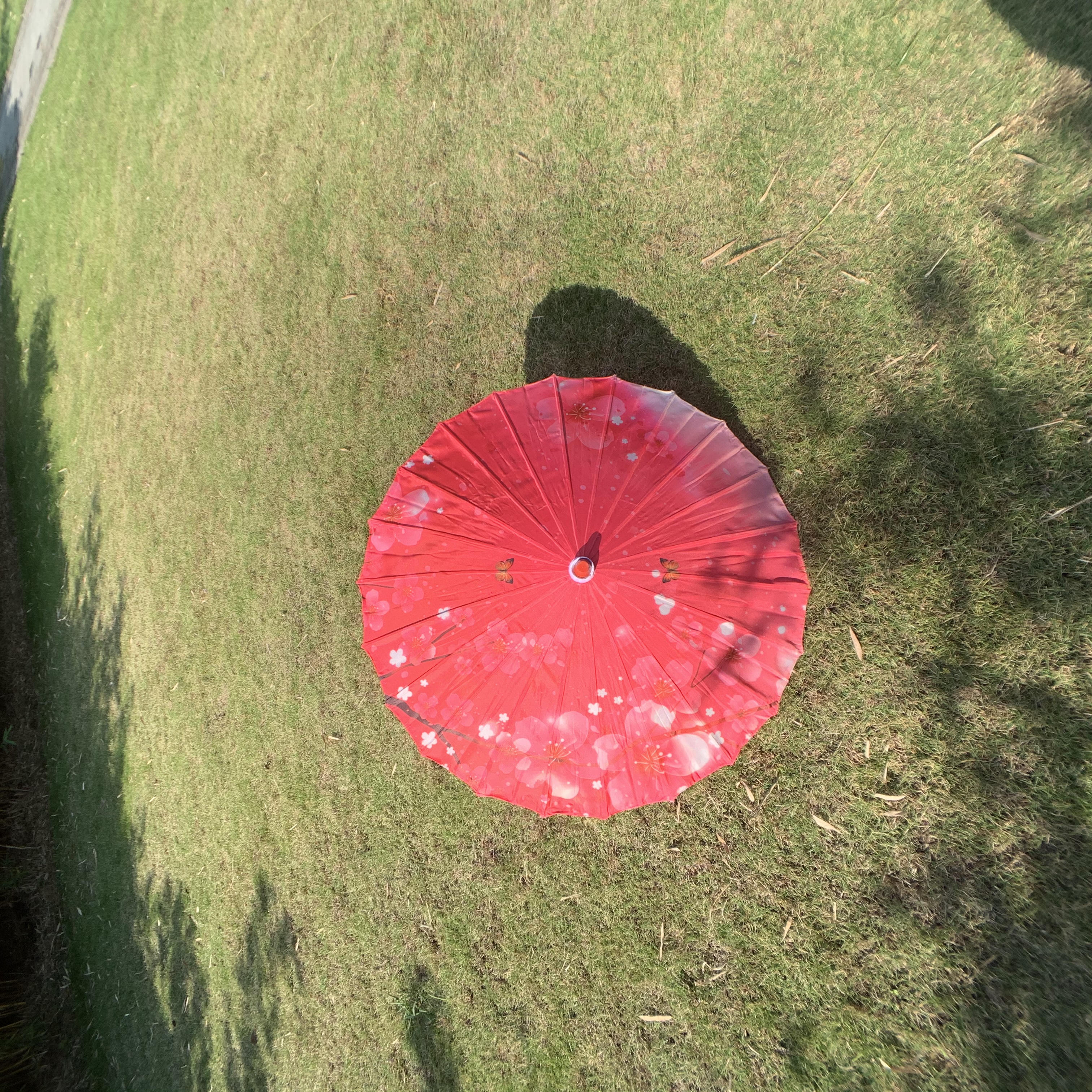 Jiangnan Ancient Chinese Style Classical Oil Paper Umbrella Dance Umbrella Show Chinese Wedding Ceiling Decoration Wedding undefined