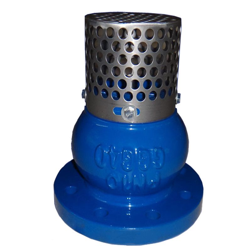 Flange check valve with stainless steel mesh thumbnail