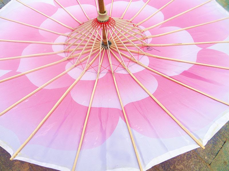 Jasmine Umbrella Photography Prop Umbrella Qipao Catwalk Umbrella Craft Umbrella Dance Umbrella Silk Silk Classical Umbrella Stage Prop Umbrella undefined