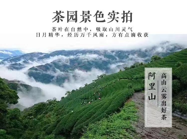 台湾阿里山清香乌龙茶详情图10