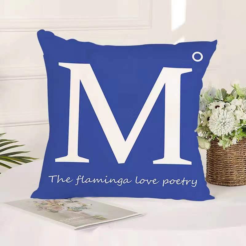 New throw pillow 3 thumbnail