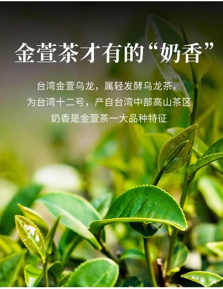 台湾金萱茶详情图2