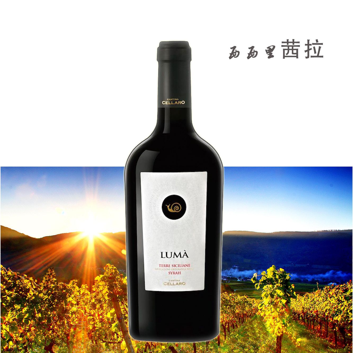 意大利进口红酒葡萄酒博纳雅·茜拉干红原瓶原装图