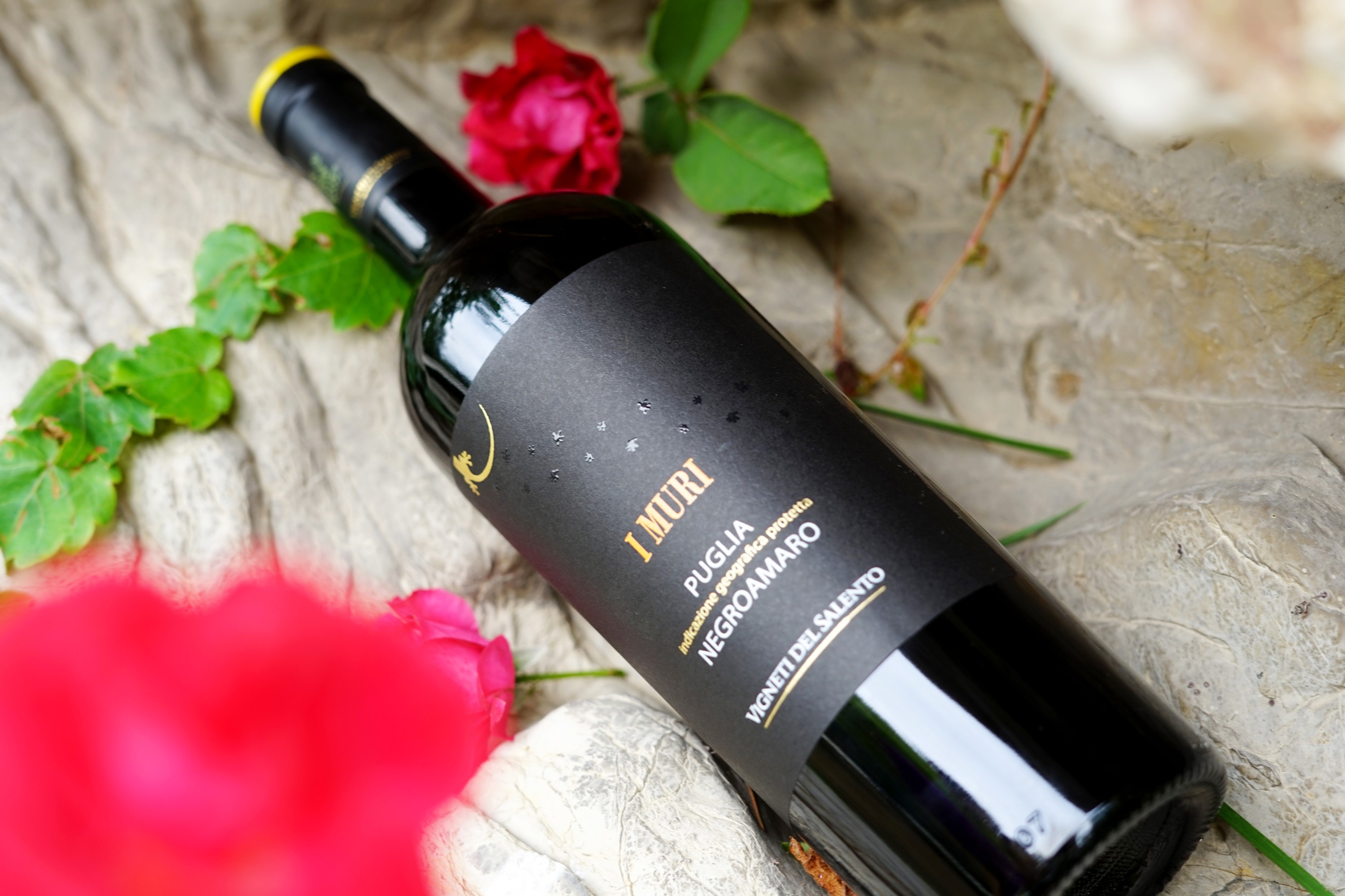 意大利进口红酒葡萄酒南部萨伦托地区高档原瓶黑曼罗详情9