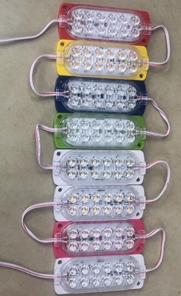 LED light module