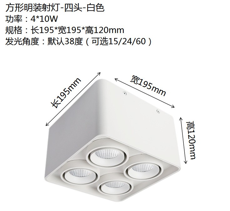 Four-Head Square Led Open-Mounted Downlight Double-Head Bladder Light Cob Spot Light Suction Ceiling No Main Light Lighting Living Room Single Head Grille Light full figure