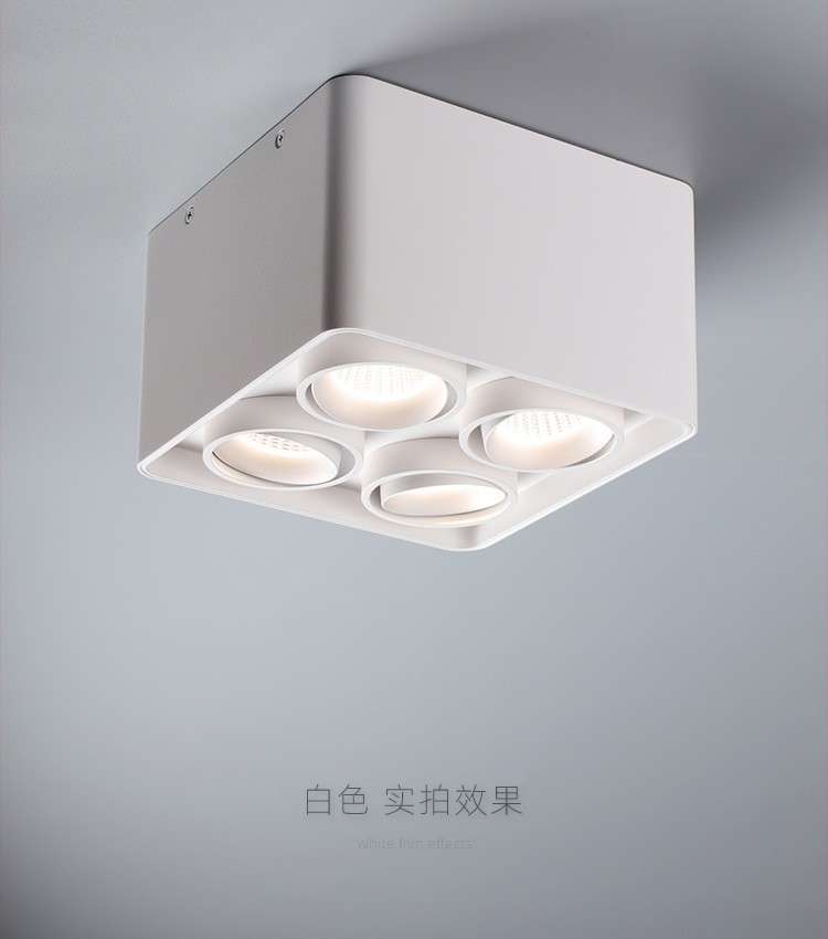 Four-Head Square Led Open-Mounted Downlight Double-Head Bladder Light Cob Spot Light Suction Ceiling No Main Light Lighting Living Room Single Head Grille Light details Picture