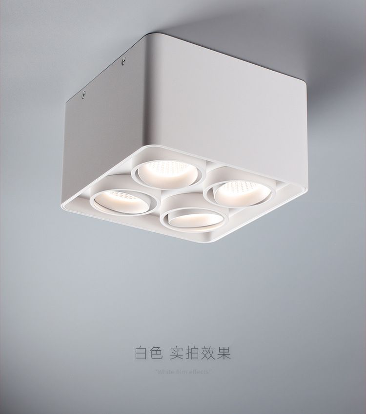Four-Head Square Led Open-Mounted Downlight Double-Head Bladder Light Cob Spot Light Suction Ceiling No Main Light Lighting Living Room Single Head Grille Light details Picture