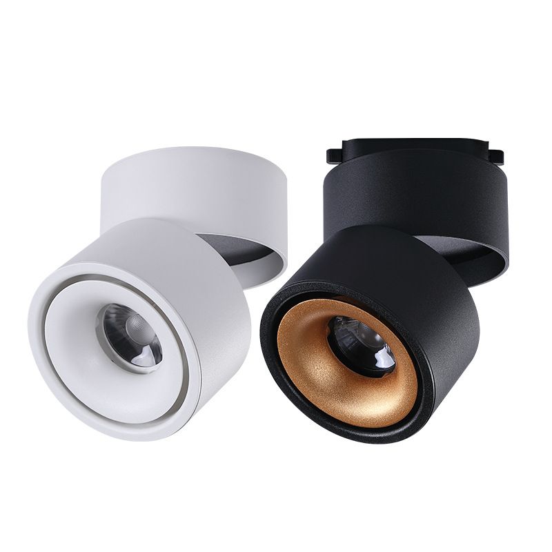 LED surface-mounted downlight, black and white foldable multi-angle COB spotlight, rotating lighting, ceiling spotlight, 10W details Picture