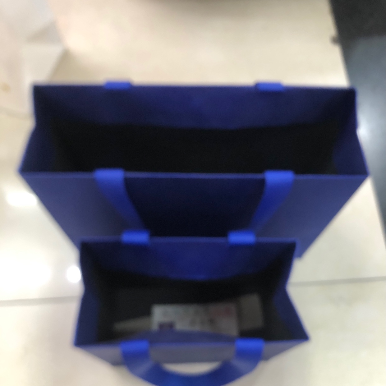 Two-Piece Blue Gift Bag