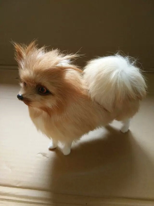狗狗