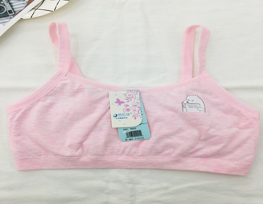 Bra 4