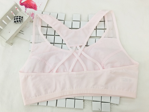 Bra 5