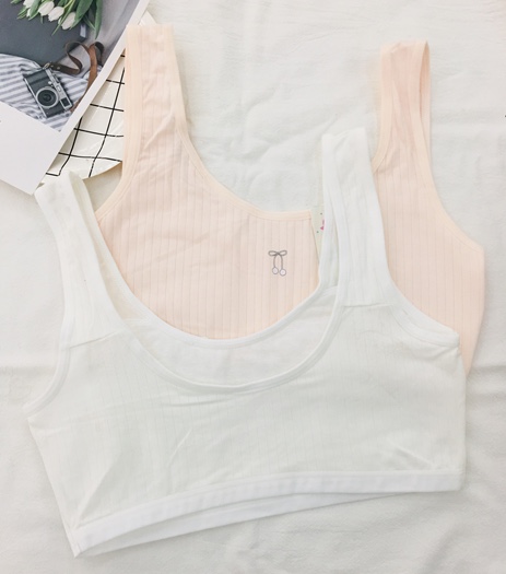 brassiere