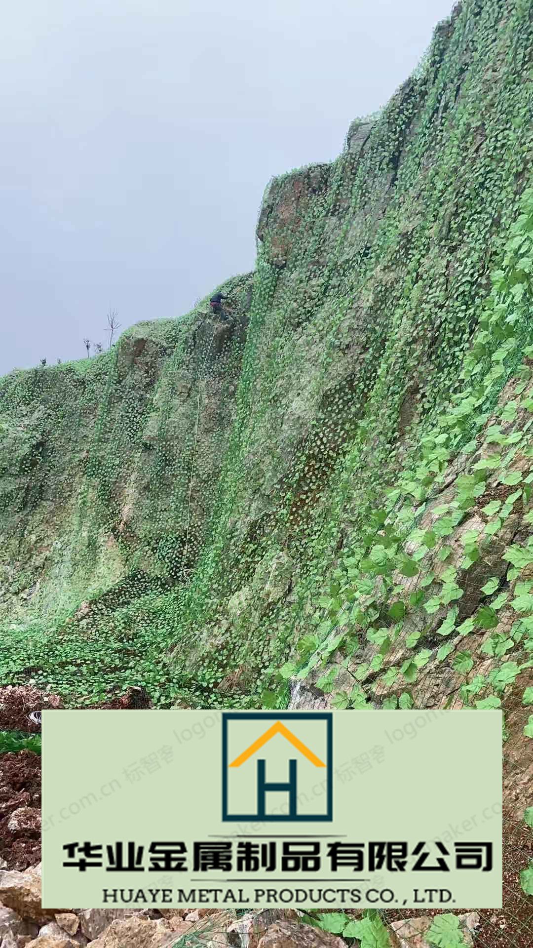 شبكة خضراء شبكة تمويه Item Picture