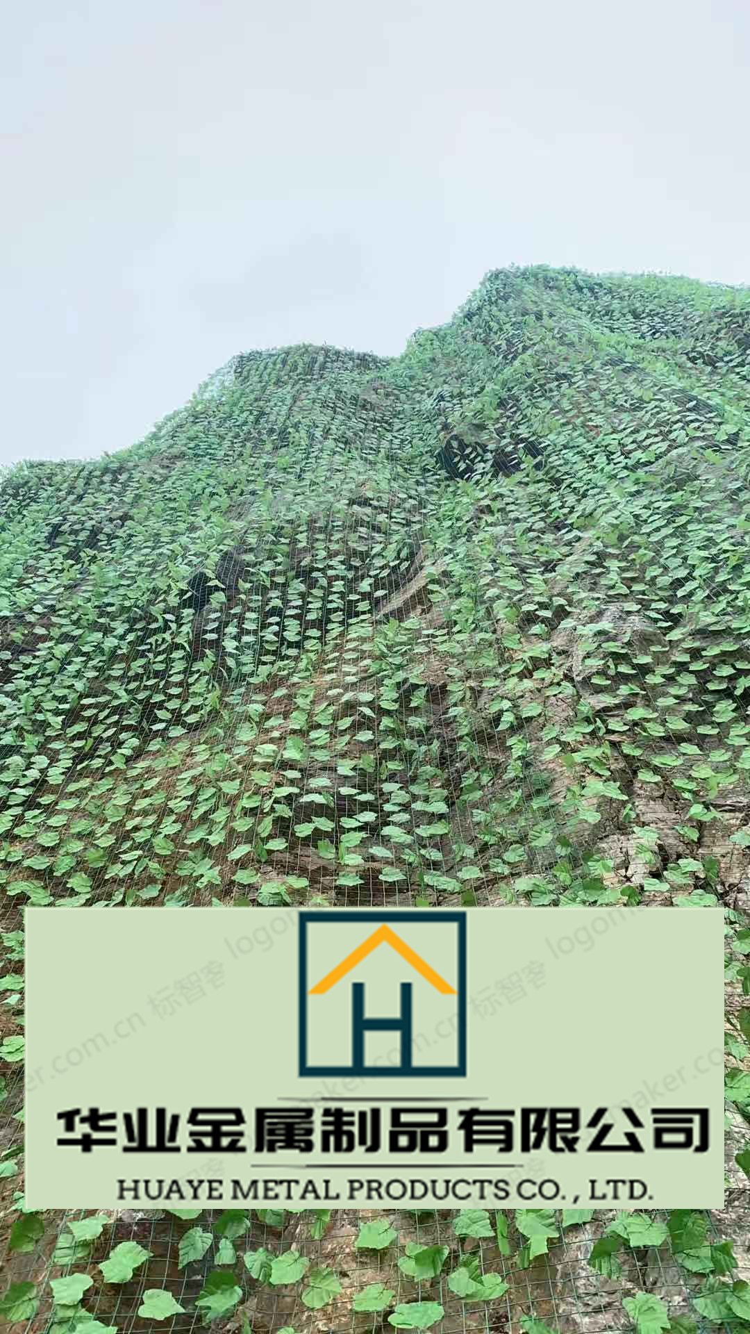 شبكة خضراء شبكة تمويه details Picture