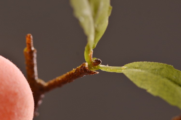 Lanjin Factory offers wholesale and direct sales of artificial flowers, Chinese-style decorative berries, peaches, artificial fruits, and foam artificial peaches detail image 11